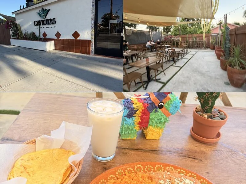 Gaviotas Mexican Restaurant business photo
